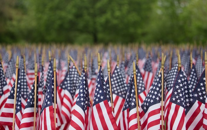 Field of American Flags