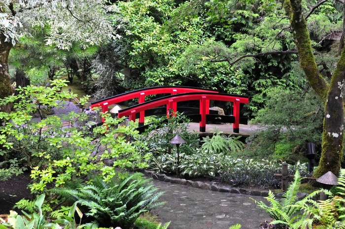 Red arched bridge in a lush garden