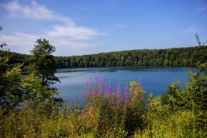 Lake surrounded by forest in Germany
