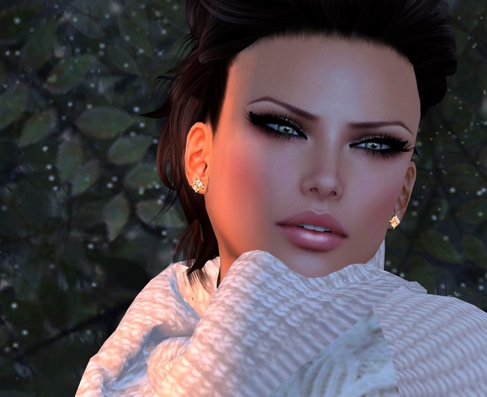 Face Glance Earrings