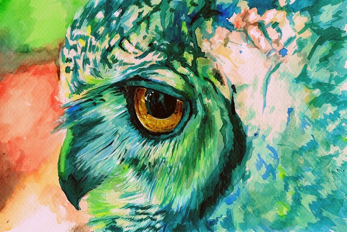 Close-up watercolor painting of an owl's eye
