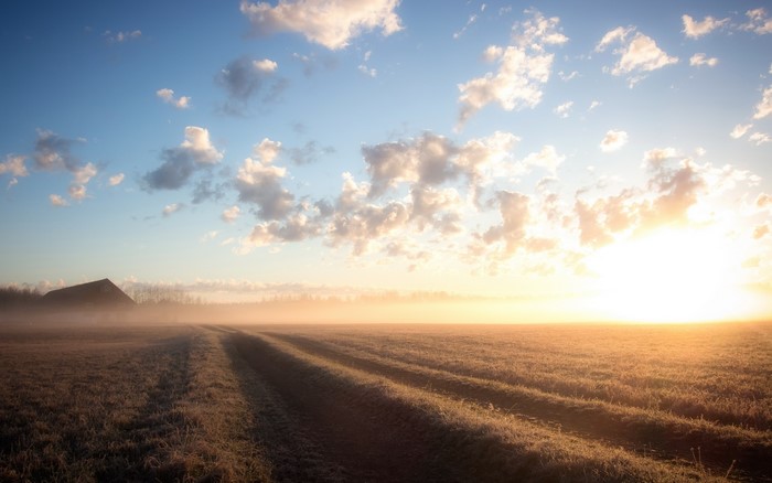 Sunrise over a misty field with a barn