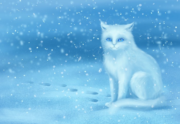 White cat sitting in the snow