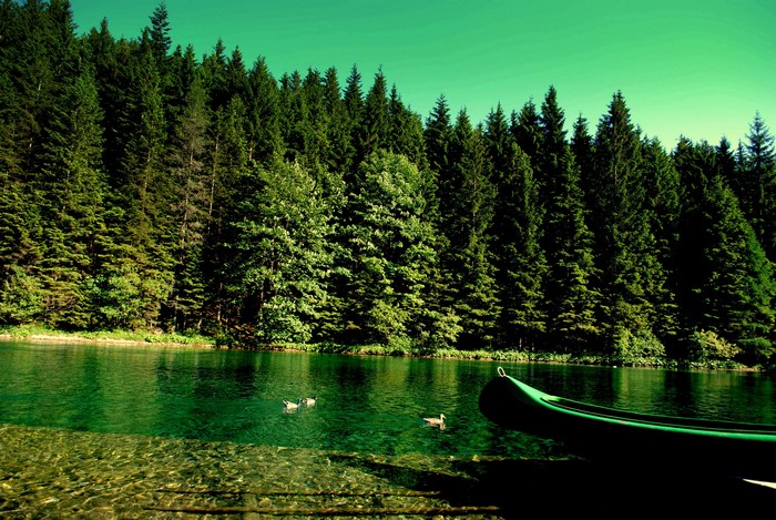 Green canoe on a lake with a forest background