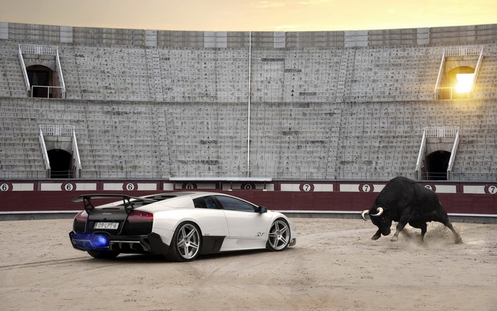 Lamborghini Murcielago LP670-4 SV and bull in arena