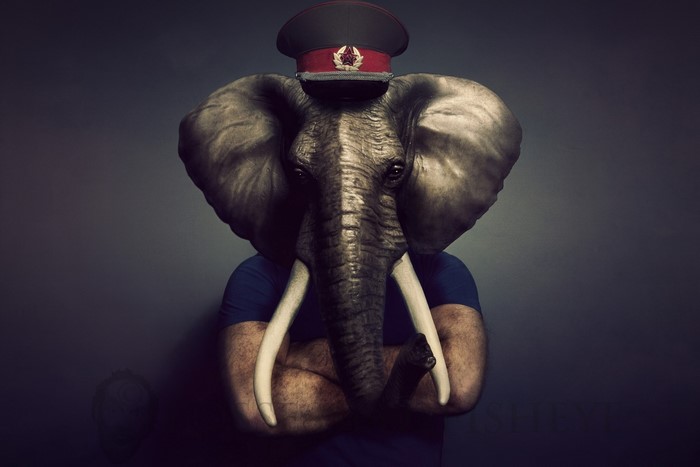 Elephant head on a person wearing a hat