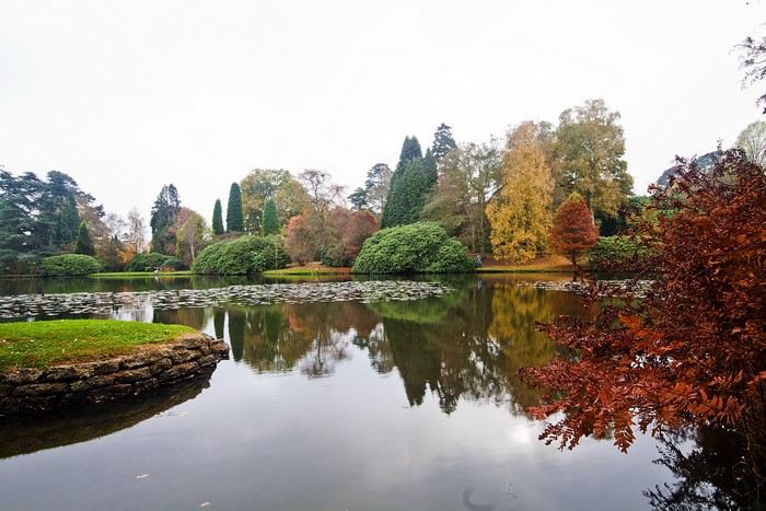 Autumn trees reflected in a pond at Sheffield Park Garden