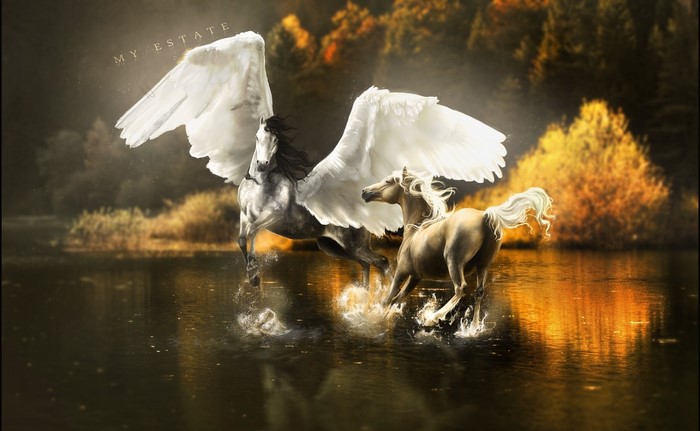 Pegasus and horse in water with autumn trees