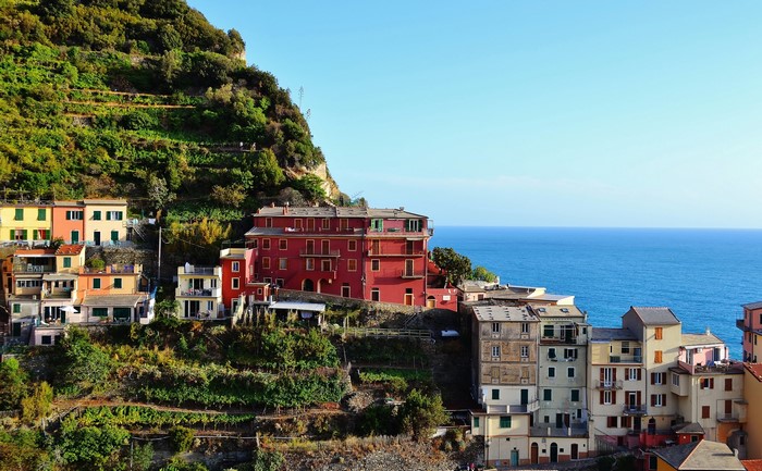 Colorful houses on a hillside overlooking the sea in Manarola, Italy