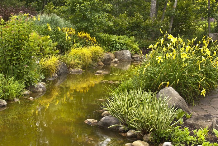 Garden pond with yellow flowers and stones