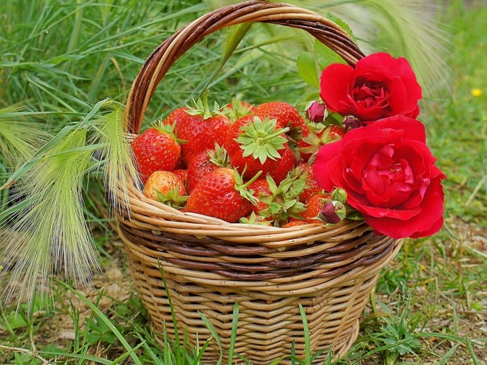 Strawberries and roses in a wicker basket