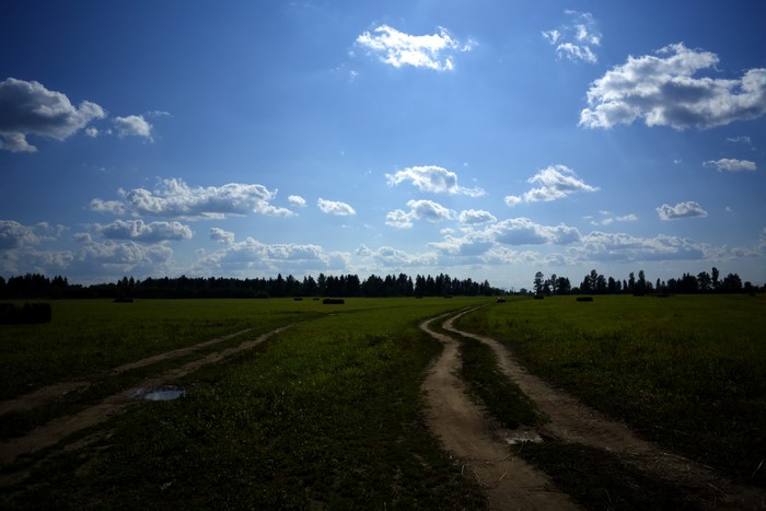 Dirt road through a grassy field under a cloudy sky