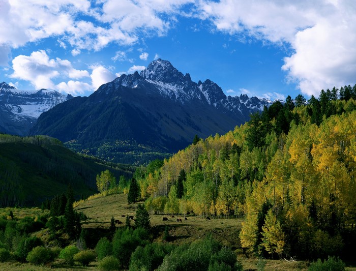 4K Mountains Scenery with Forests and Clouds