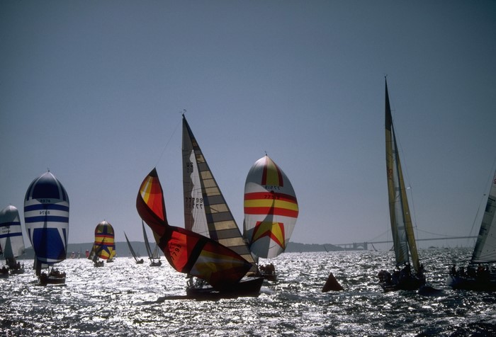Sailboats racing on a sunny day
