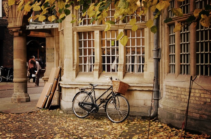 Bicycle with basket in front of building with autumn leaves