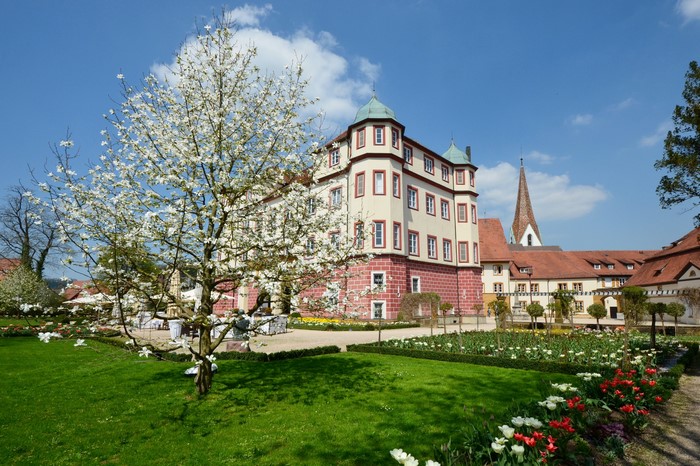 Schloss Donzdorf in Germany with blooming tree and garden