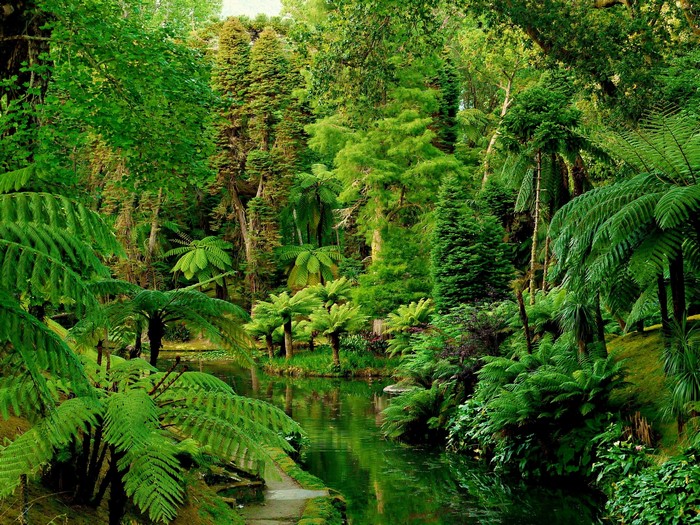 Botanical Gardens in Furnas, Portugal