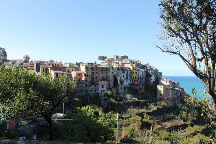 Colorful houses on a hillside in Cinque Terre, Italy