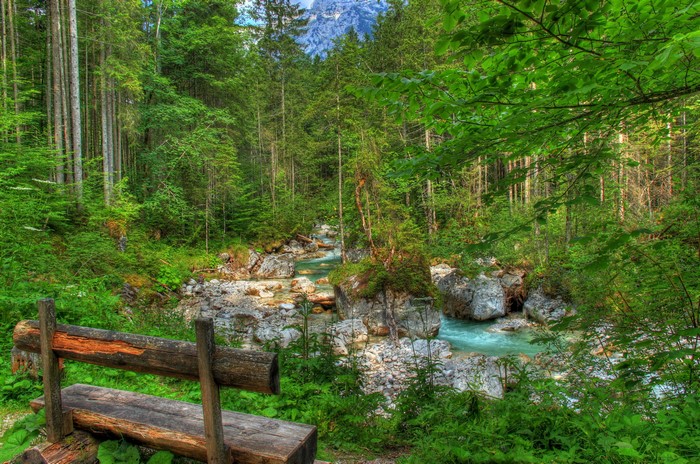 4K Forest River with Bench in Bavaria, Germany