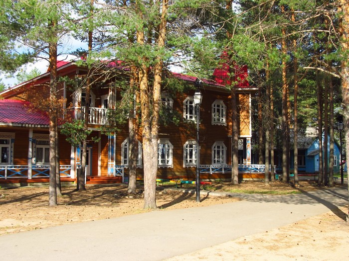Wooden houses with red roofs surrounded by pine trees