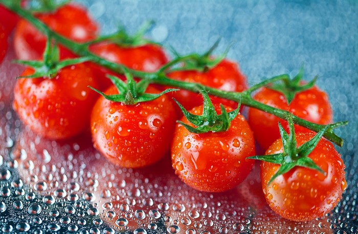 Wet Cherry Tomatoes on a Vine with Water Droplets
