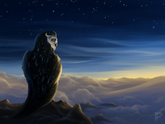 Owl perched on rocks above clouds at night