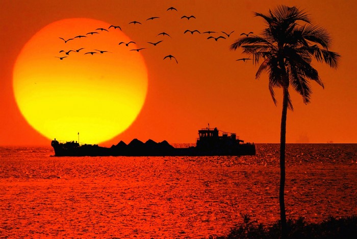 Sunset over the sea with a ship, birds, and palm tree