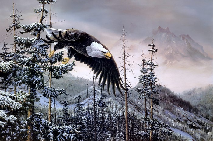 Bald Eagle flying over a snowy forest with mountains