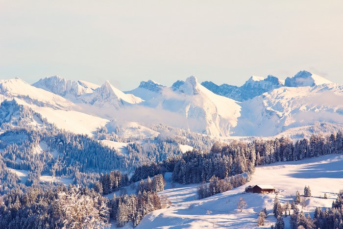 Snowy mountains with a cabin and pine trees