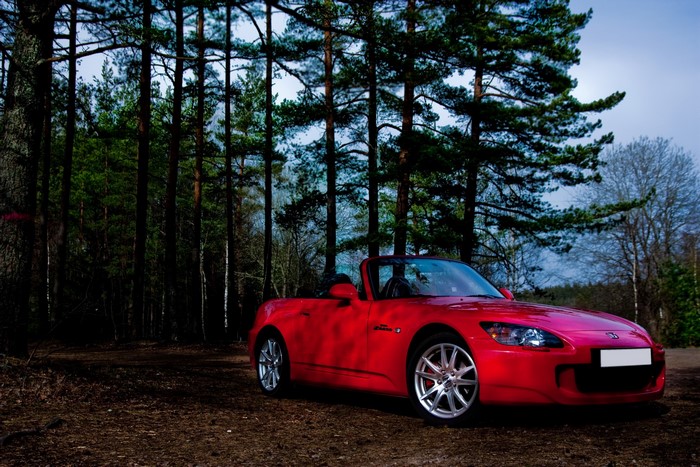 Red Honda S2000 Cabriolet in a Forest