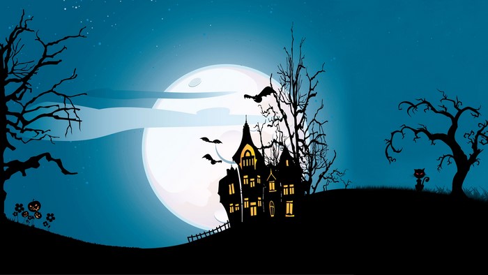 Halloween haunted house with bats and a black cat