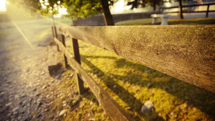 Wooden fence in a grassy field at sunrise