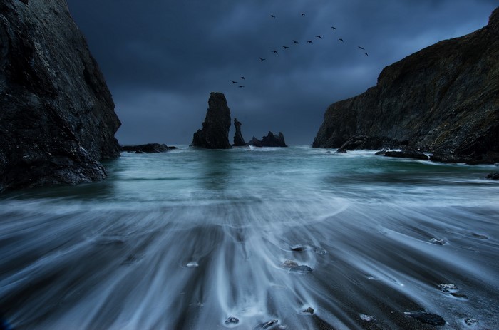 Birds flying over rocky coast at night