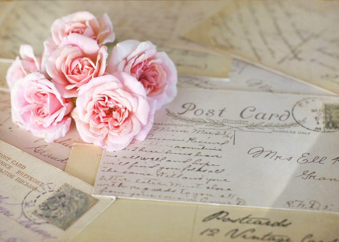 Pink roses on vintage postcards