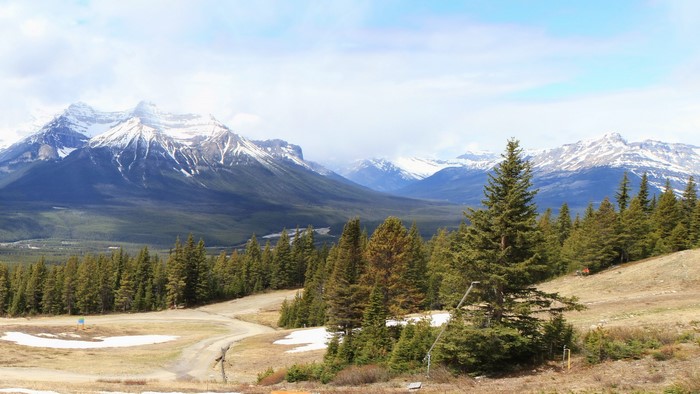 Snow-capped mountains and pine trees in Banff National Park, Canada