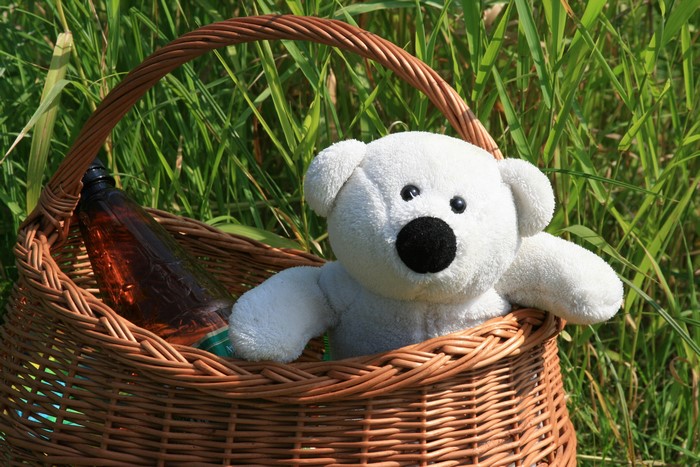 Teddy bear and bottle in a wicker basket