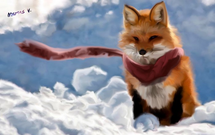 Fox with a scarf in the snow