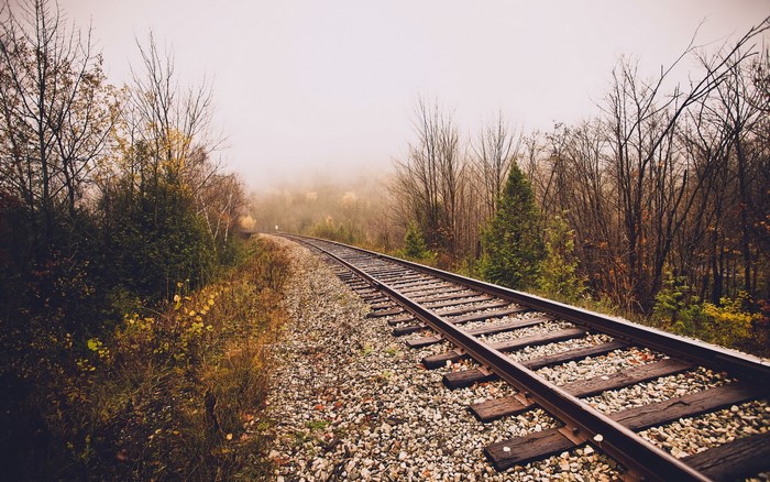 Railroad tracks curving through a misty forest in autumn