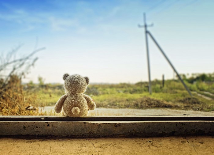 Teddy bear sitting on a windowsill looking outside