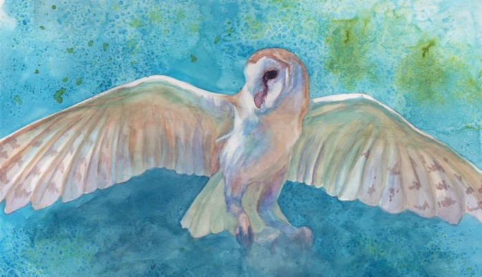 Barn Owl in Flight Watercolor Painting