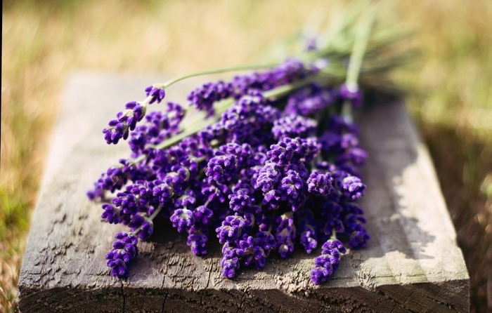 Bouquet of Lavender Flowers on Wood