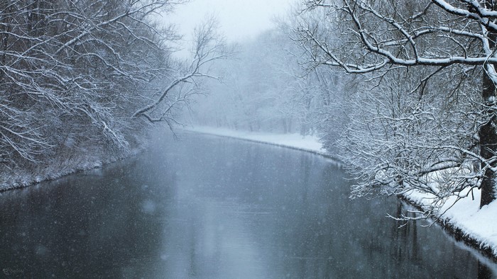 Winter scene with a river and snow-covered trees