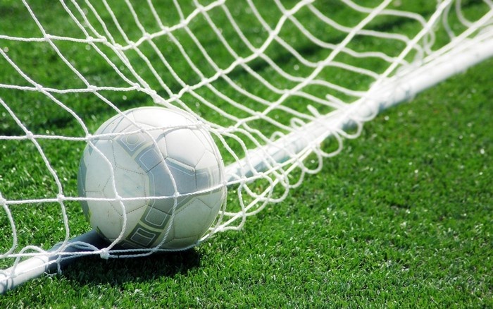 Soccer ball in a net on grass