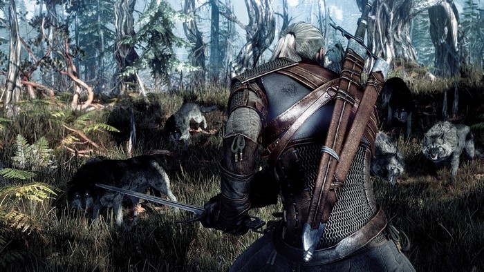 Geralt of Rivia from The Witcher 3: Wild Hunt fighting wolves