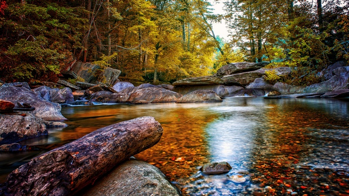 River flowing through rocks and autumn forest