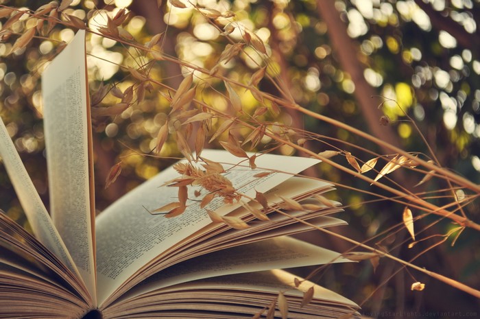 Open book with dried grass