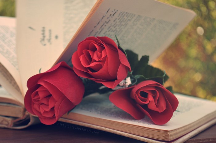 Red Roses on an Open Book