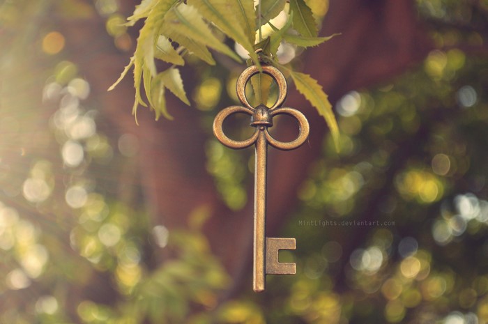 Antique Key Hanging on a Tree Branch