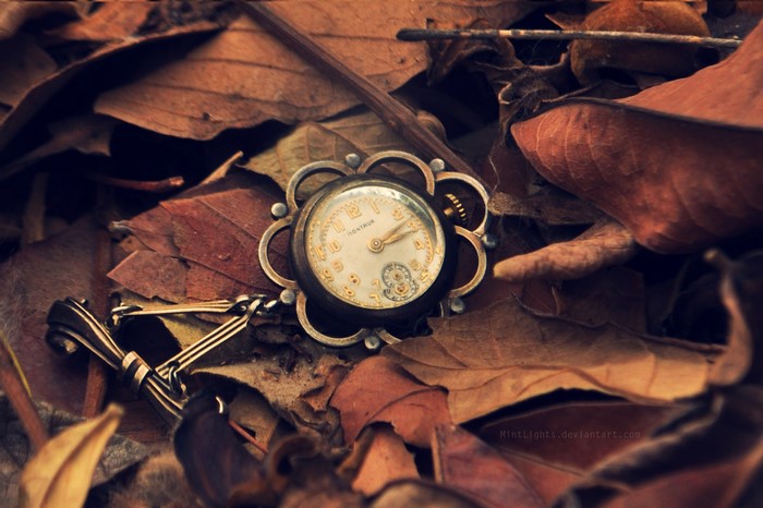 Antique pocket watch on autumn leaves