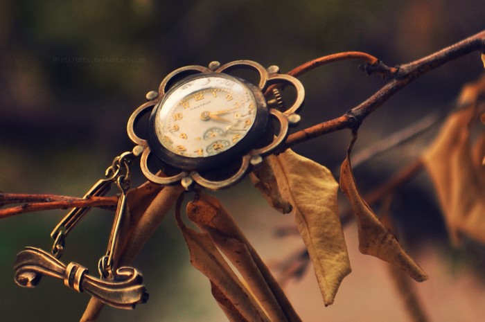 Antique pocket watch on a branch with leaves